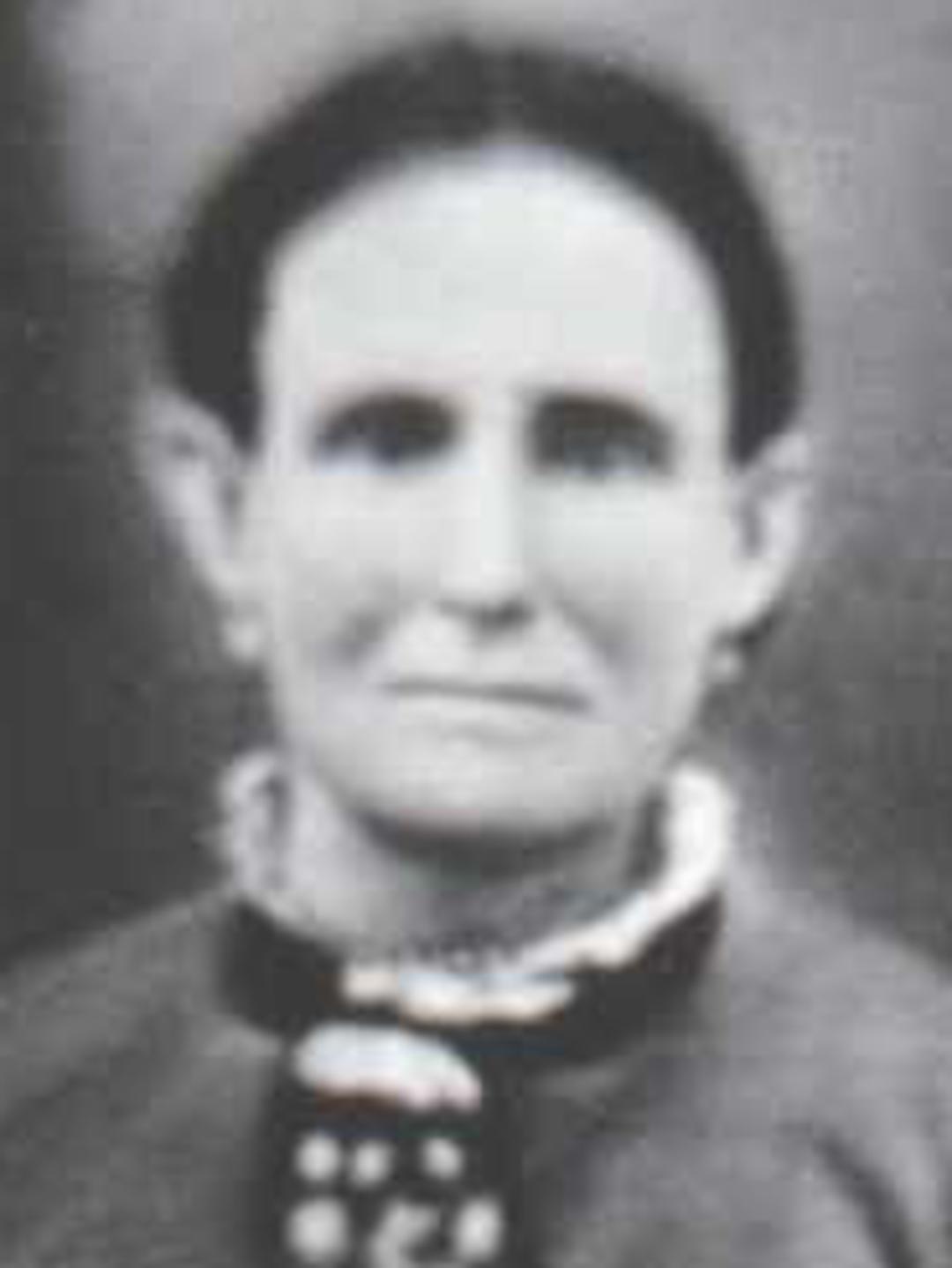 Nancy Jane Hammer (1829 - 1898) Profile